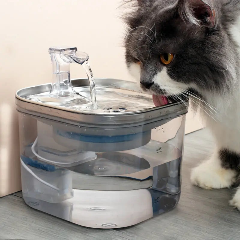 Pet Dispenser Intelligent Fountain Electronic Worldwide