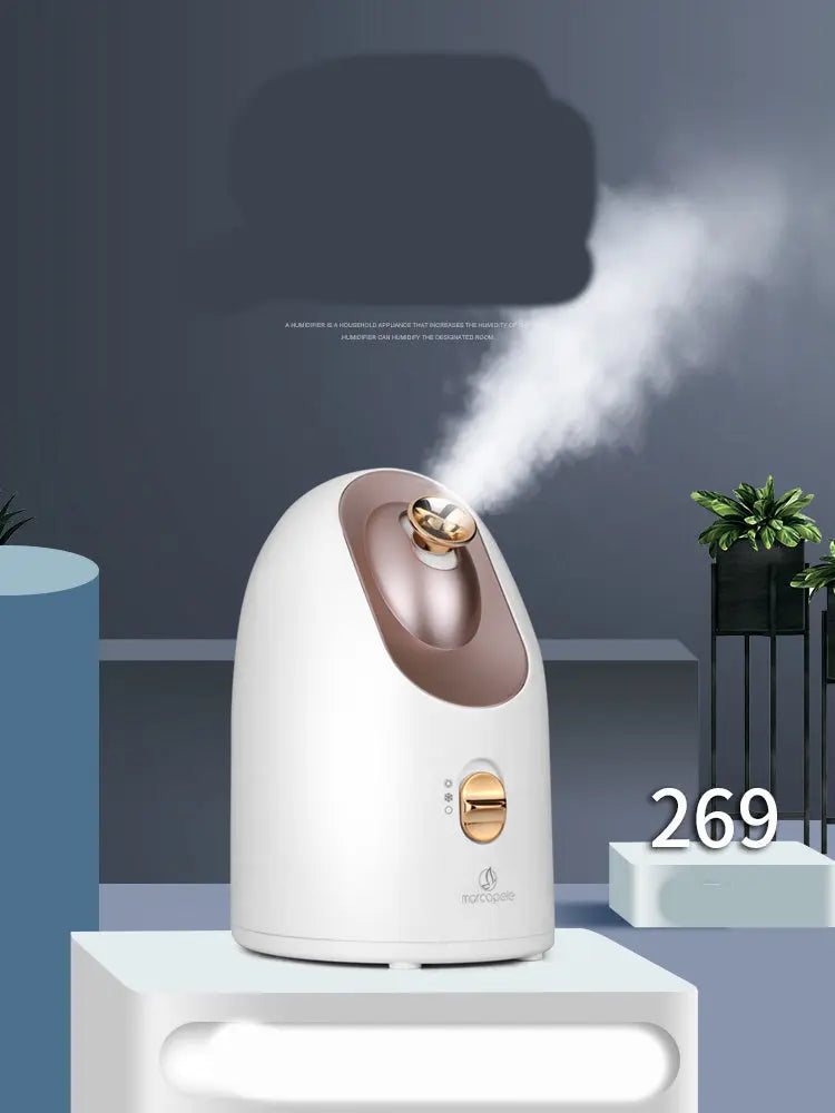 Hot and cold face steamer Electronic Worldwide