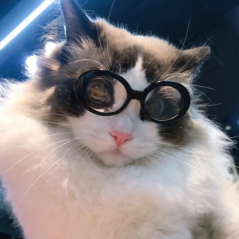 Fashion Round Glasses Pet Product Electronic Worldwide