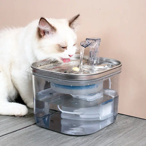 Pet Dispenser Intelligent Fountain Electronic Worldwide