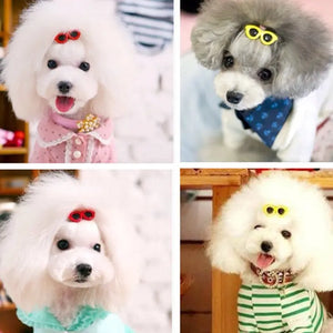 Fashion Round Glasses Pet Product Electronic Worldwide