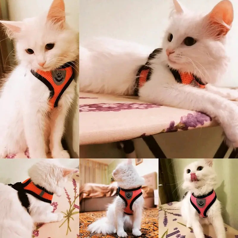 Cat Harness Vest Walking Lead Leash For Puppy Dogs Collar Polyester Adjustable Mesh Dog Harness For Small Medium Pet Accessories Electronic Worldwide