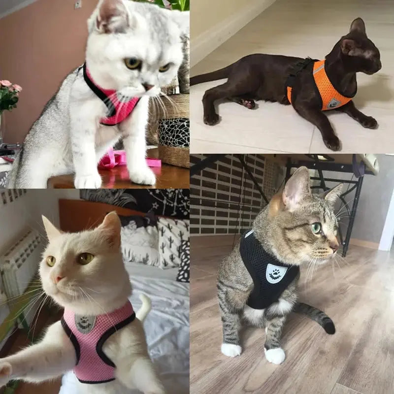 Cat Harness Vest Walking Lead Leash For Puppy Dogs Collar Polyester Adjustable Mesh Dog Harness For Small Medium Pet Accessories Electronic Worldwide