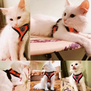 Cat Harness Vest Walking Lead Leash For Puppy Dogs Collar Polyester Adjustable Mesh Dog Harness For Small Medium Pet Accessories Electronic Worldwide