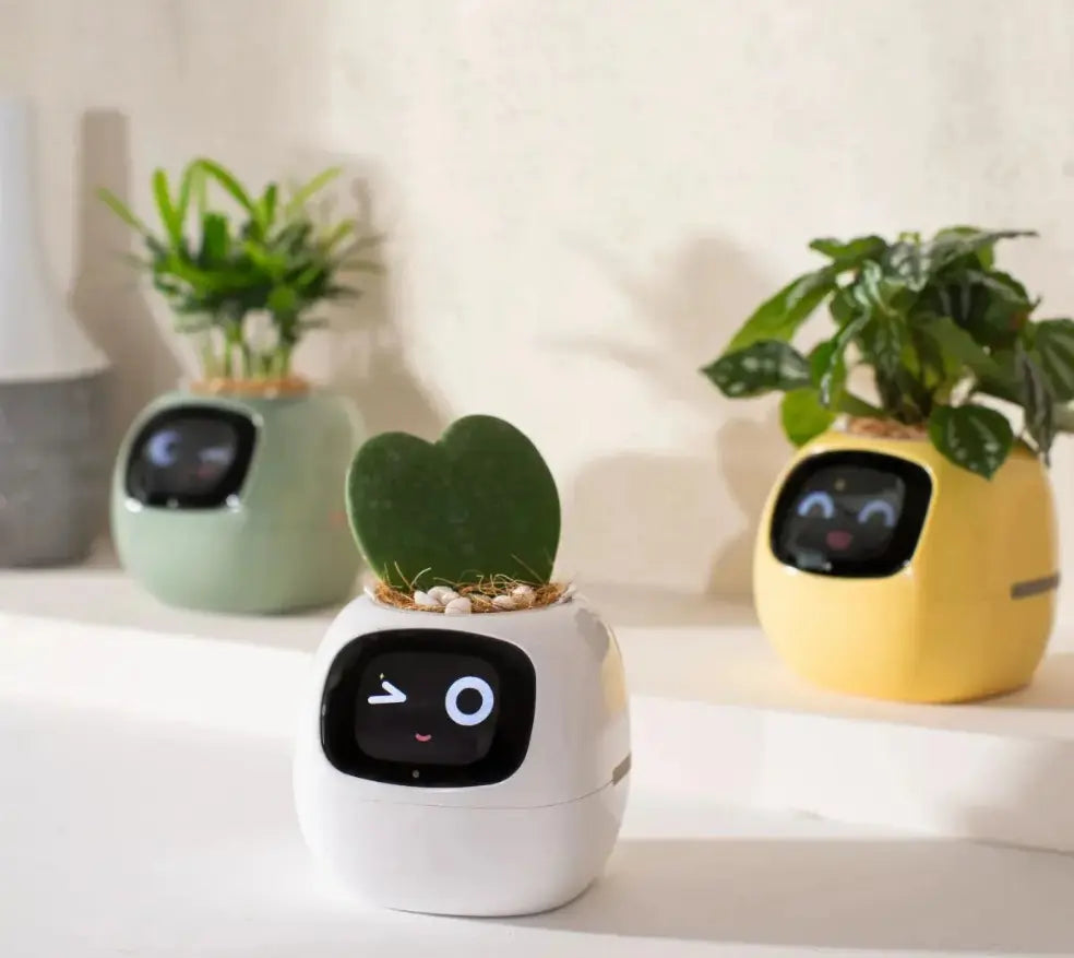 Smart Planter, Easy and Fun My Store