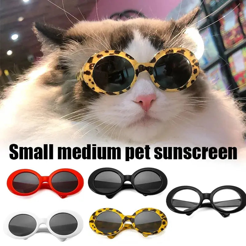 Fashion Round Glasses Pet Product Electronic Worldwide