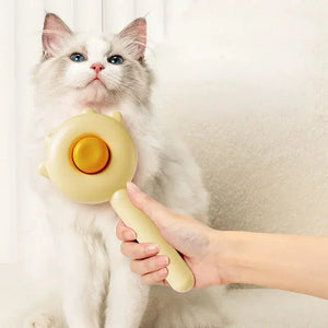 Pet Cat Brush Comb Electronic Worldwide