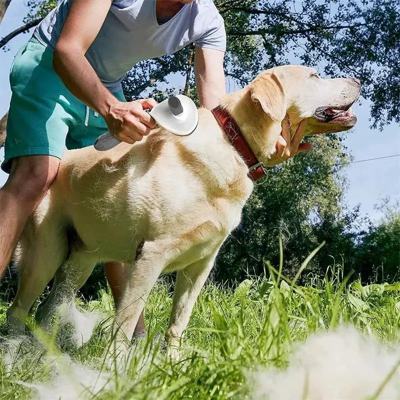 Pet Dog Brush Hair Remover My Store