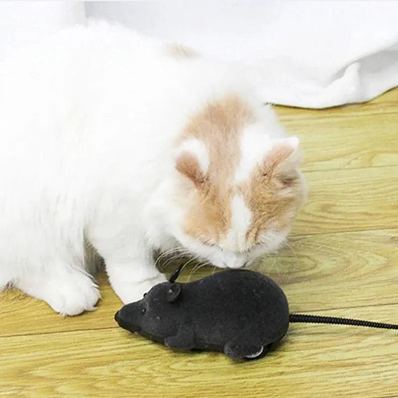 Rat Funny Cat Toy With Remote Control Multicolor Mouse Cute Wireless Controlled Toy Rat Pet Supplies Cat Pet Supplies Electronic Worldwide