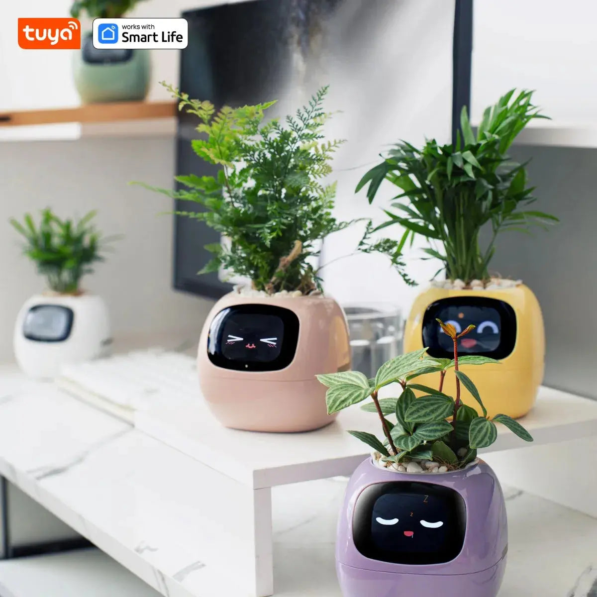 Smart Planter, Easy and Fun My Store