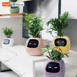 Smart Planter, Easy and Fun My Store