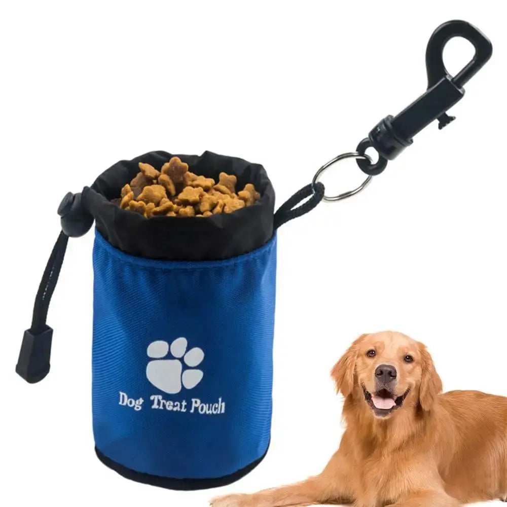 Bag Pet Feed Pocket Walking Electronic Worldwide