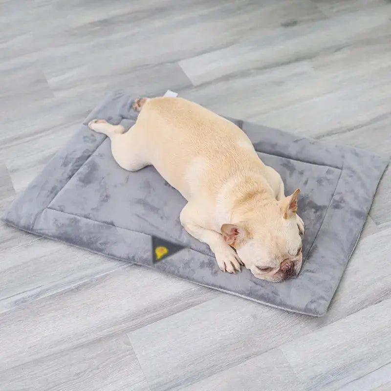 Dog Bed Self Heating Pet Blanket Winter Warm Sleeping Cover Electronic Worldwide