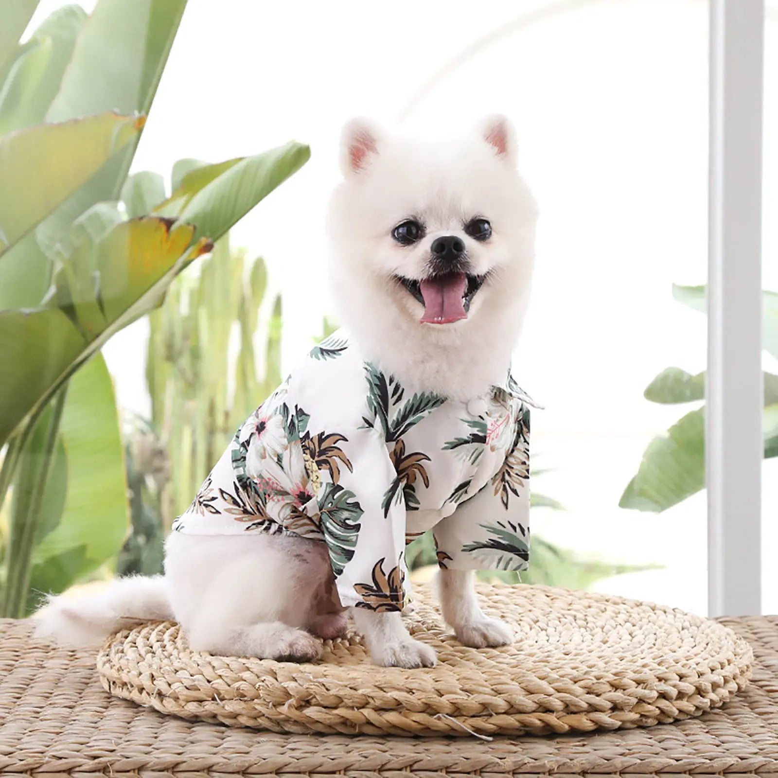 Pet Summer Cotton Shirts Hawaii Style Electronic Worldwide