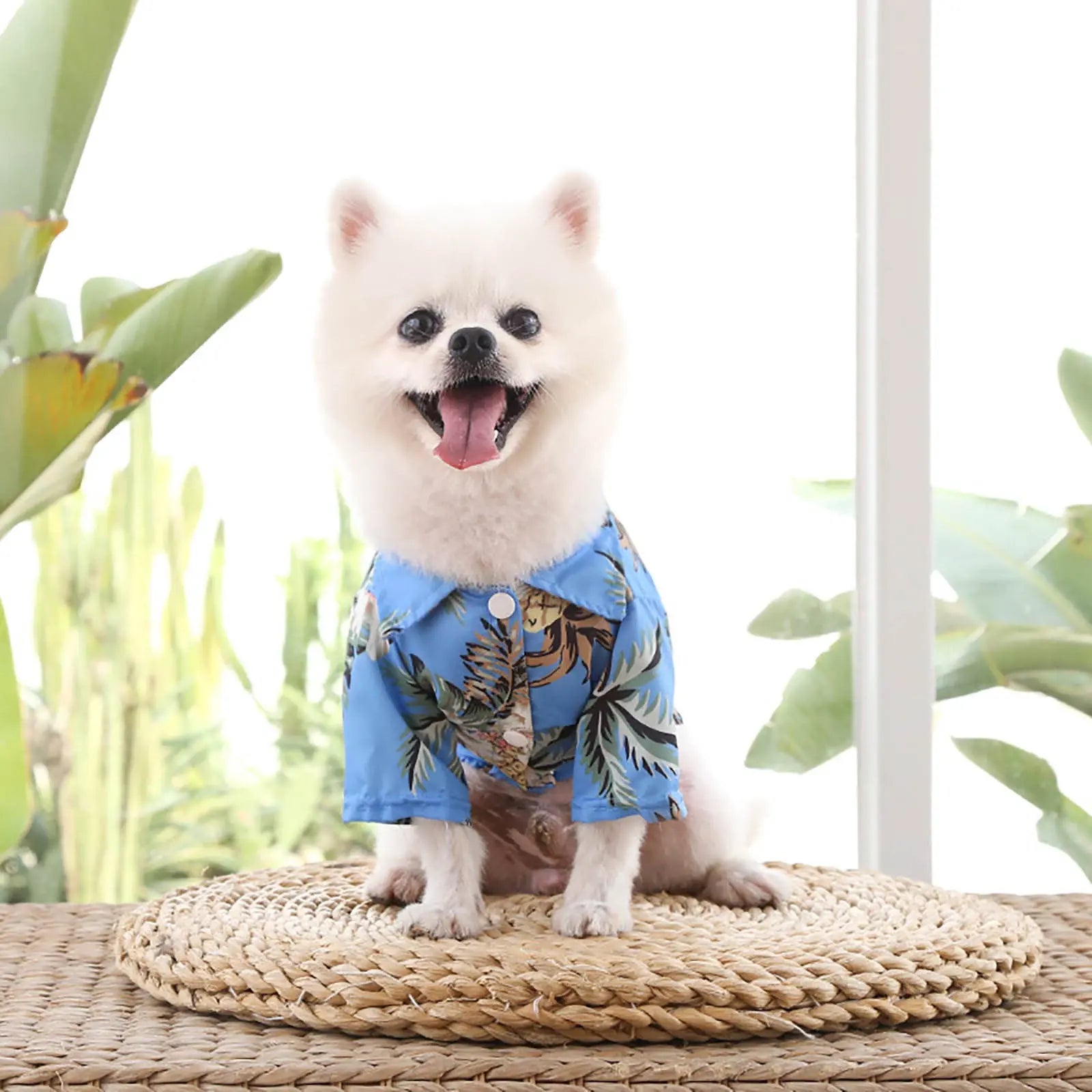 Pet Summer Cotton Shirts Hawaii Style Electronic Worldwide