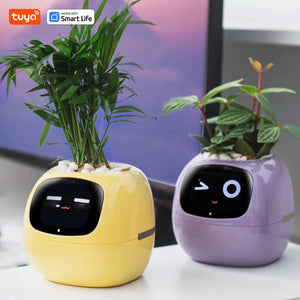 Smart Planter, Easy and Fun My Store