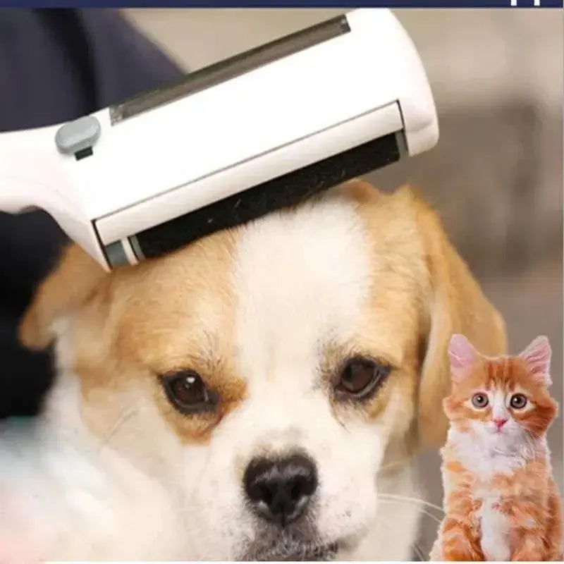 Pet Hair Remover dehairing brush Electronic Worldwide