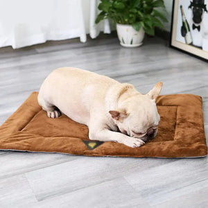 Dog Bed Self Heating Pet Blanket Winter Warm Sleeping Cover Electronic Worldwide