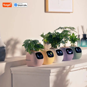 Smart Planter, Easy and Fun My Store