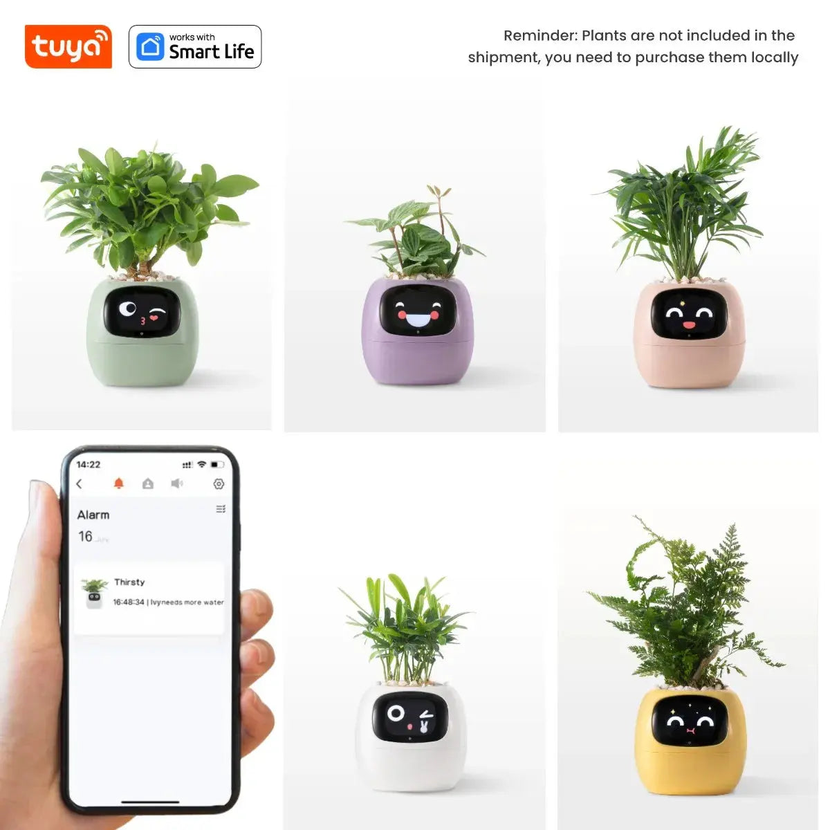 Smart Planter, Easy and Fun My Store