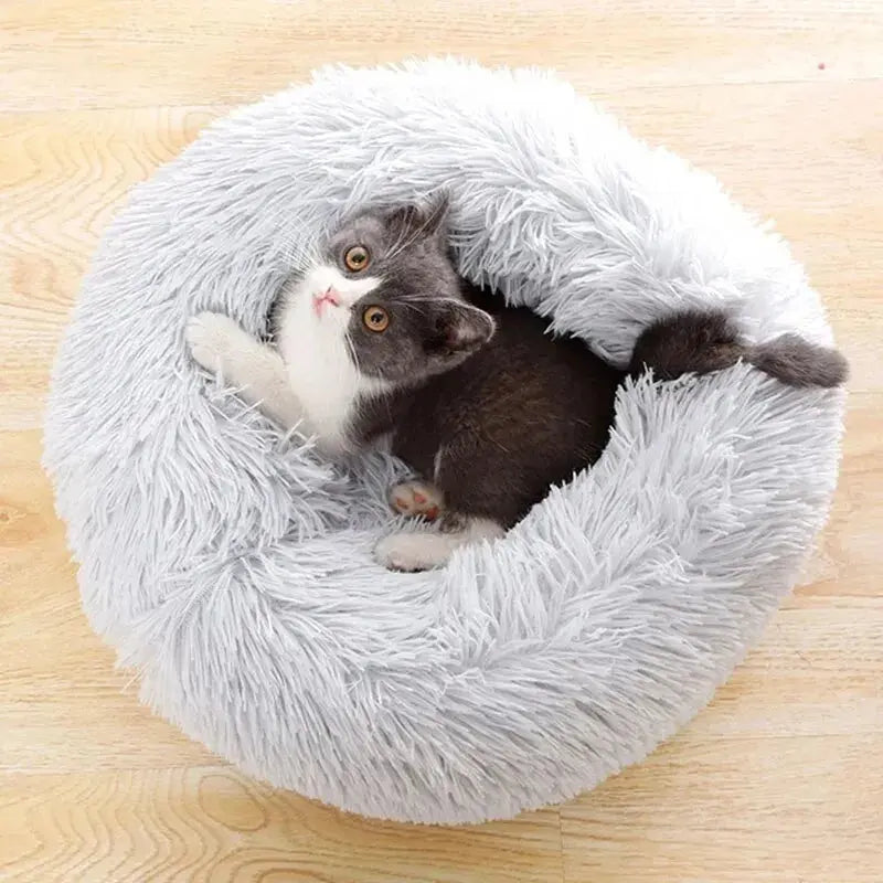 Super Soft Pet Dog Cat Bed Electronic Worldwide