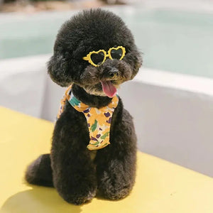 Fashion Round Glasses Pet Product Electronic Worldwide