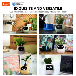 Smart Planter, Easy and Fun My Store