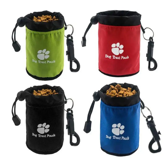 Bag Pet Feed Pocket Walking Electronic Worldwide