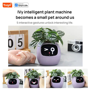 Smart Planter, Easy and Fun My Store