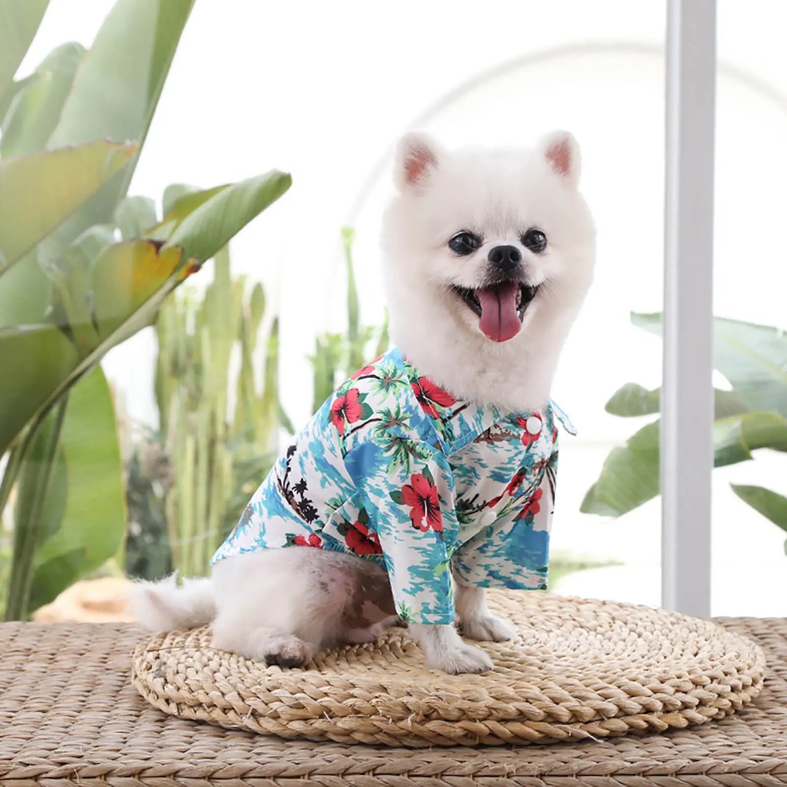 Pet Summer Cotton Shirts Hawaii Style Electronic Worldwide