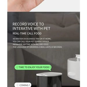 Automatic Cat Feeder Timing with Camera Electronic Worldwide