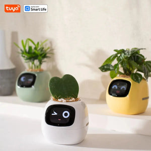 Smart Planter, Easy and Fun My Store