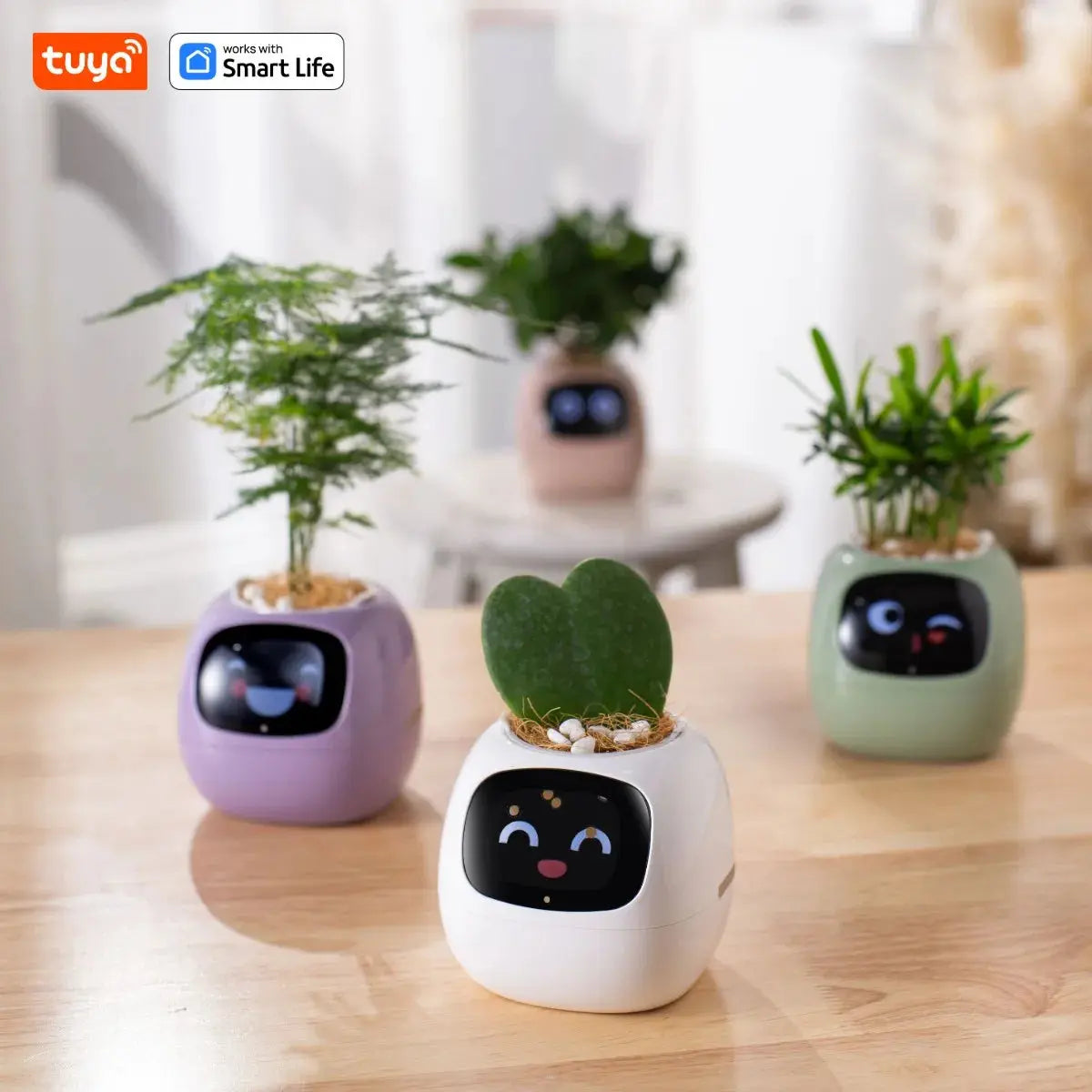 Smart Planter, Easy and Fun My Store