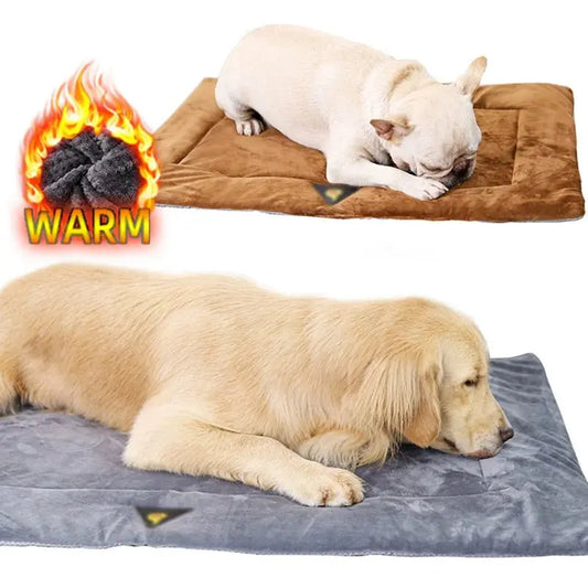 Dog Bed Self Heating Pet Blanket Winter Warm Sleeping Cover Electronic Worldwide