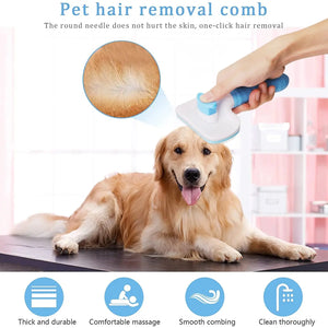 Cat Dog Hair Grooming My Store