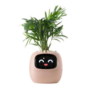 Smart Planter, Easy and Fun My Store