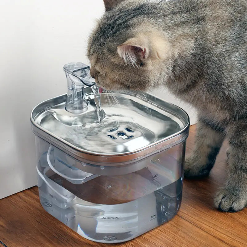 Pet Dispenser Intelligent Fountain Electronic Worldwide